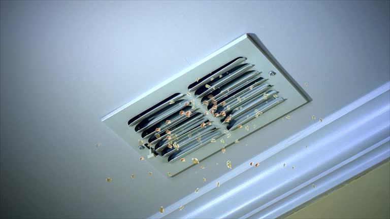 Best Air Duct Cleaning Near Me  in Columbus, MT